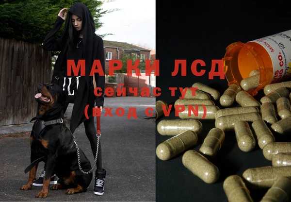 дистиллят марихуана Баксан